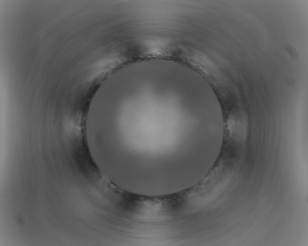 X0000114080423200910191546