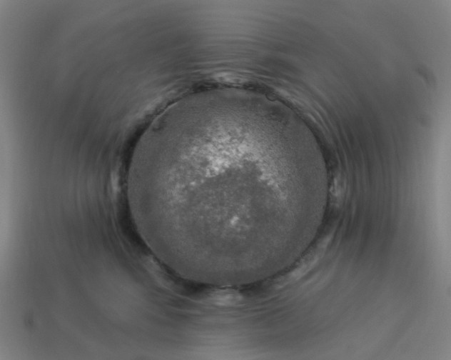 X0000114080424200910191546