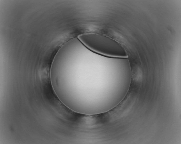 X0000114080425200910191546