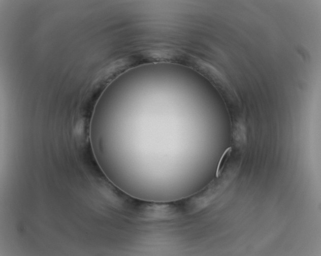 X0000114080428200910191546