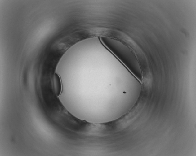 X0000114080429200910191546