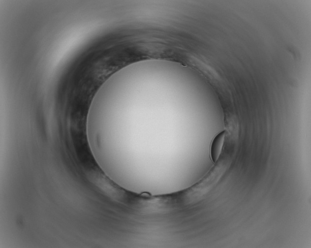 X0000114080430200910191546