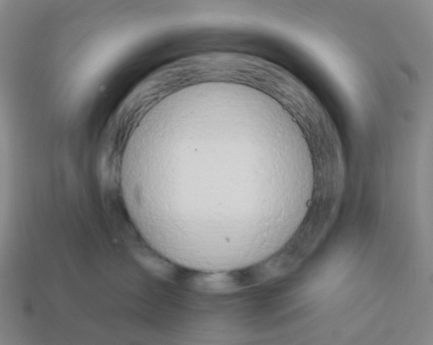 X0000114080431200910191546