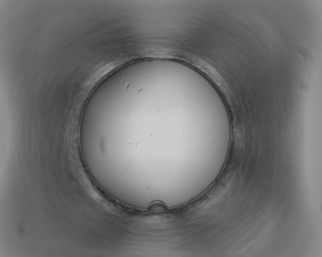 X0000114080433200910191545