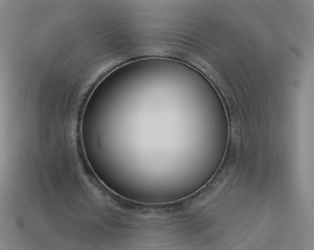 X0000114080434200910191545