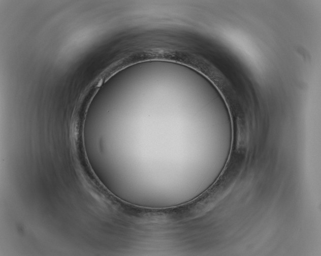 X0000114080435200910191545