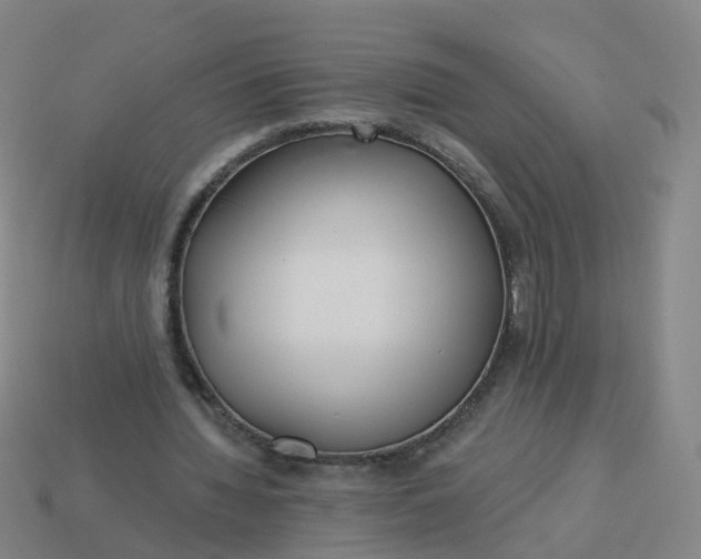 X0000114080436200910191545