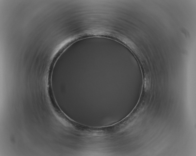 X0000114080438200910191545