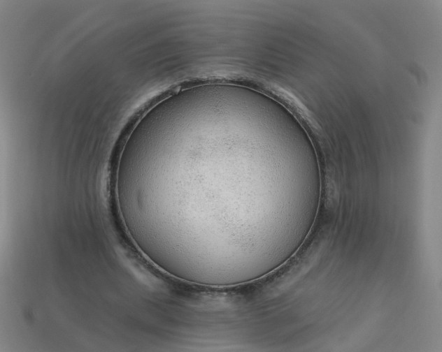 X0000114080439200910191545