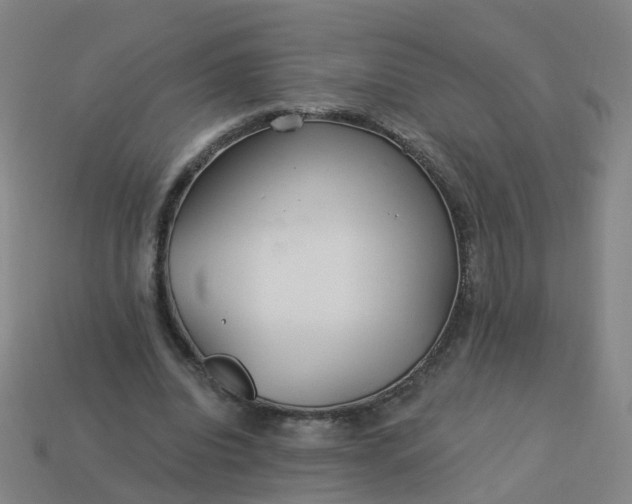 X0000114080440200910191545