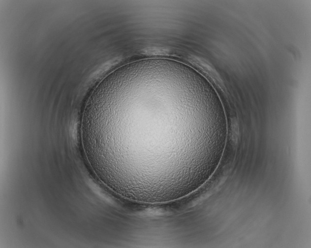 X0000114080441200910191545