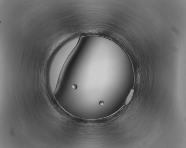 X0000114080444200910191545