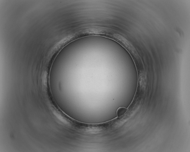 X0000114080445200910191545