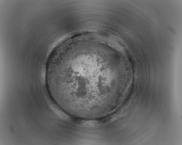 X0000114080446200910191545