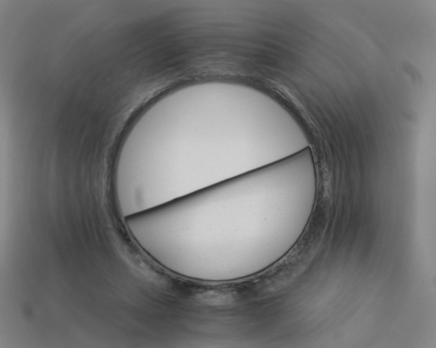 X0000114080447200910191545