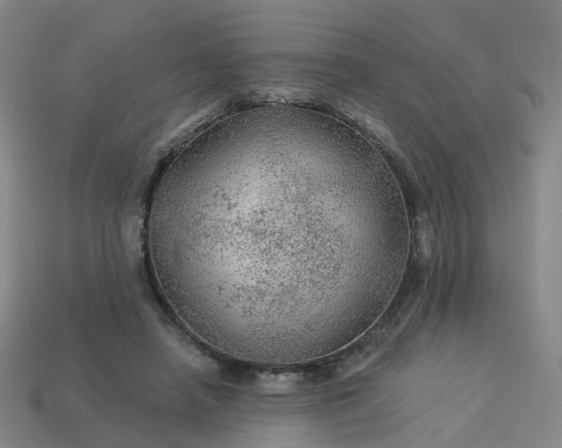 X0000114080450200910191545