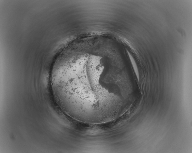 X0000114080451200910191545