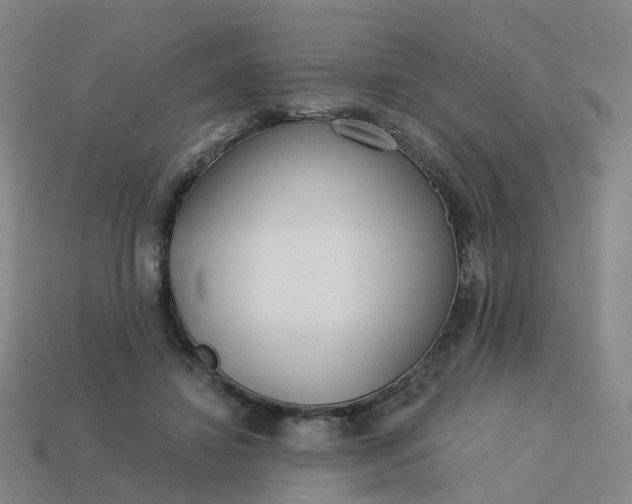 X0000114080452200910191545