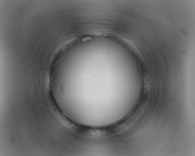 X0000114080453200910191546