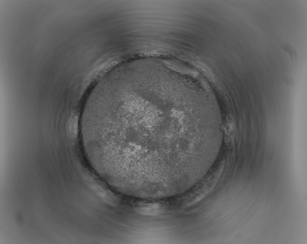 X0000114080454200910191546