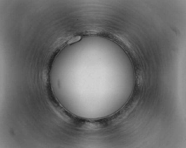 X0000114080455200910191546