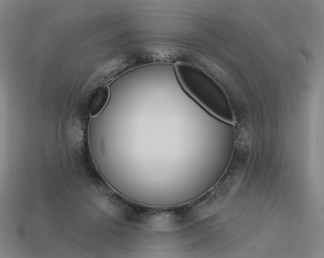 X0000114080456200910191546