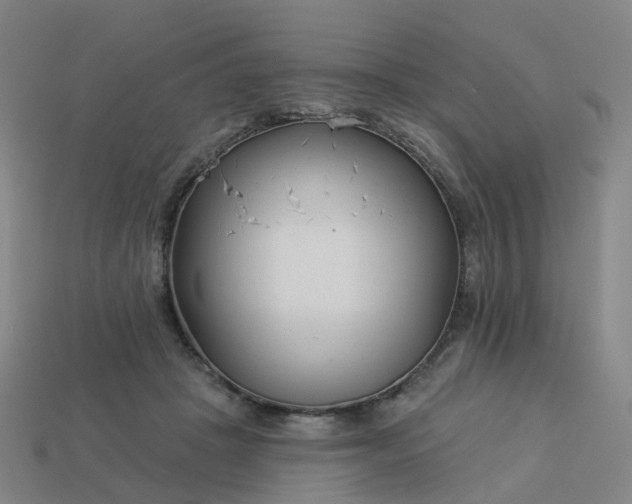 X0000114080457200910191546