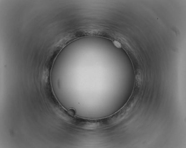 X0000114080458200910191546