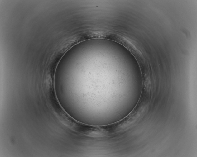 X0000114080459200910191546