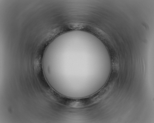 X0000114080460200910191546