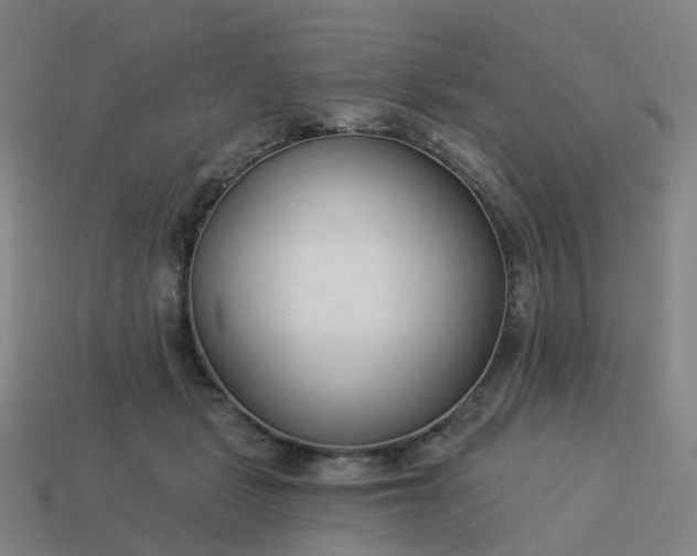 X0000114080461200910191546