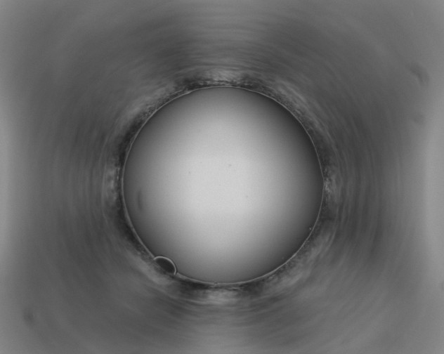 X0000114080462200910191546