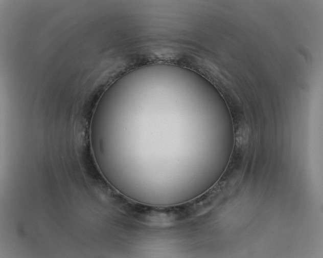 X0000114080464200910191546