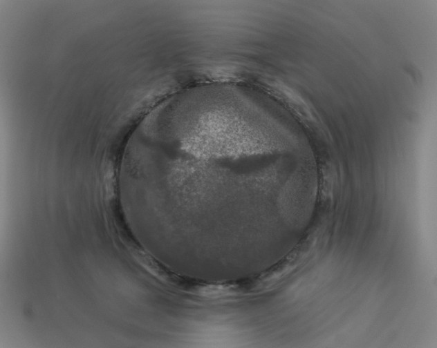 X0000114080465200910191546