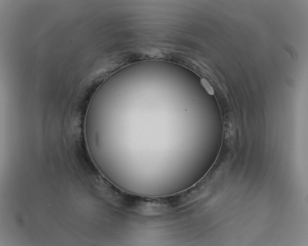 X0000114080466200910191546