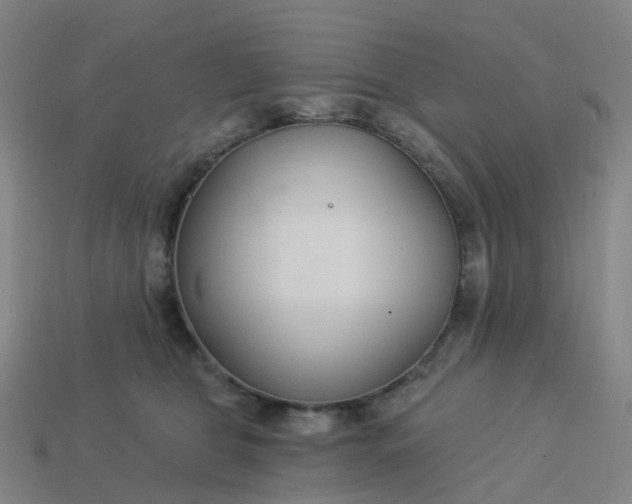 X0000114080469200910191546