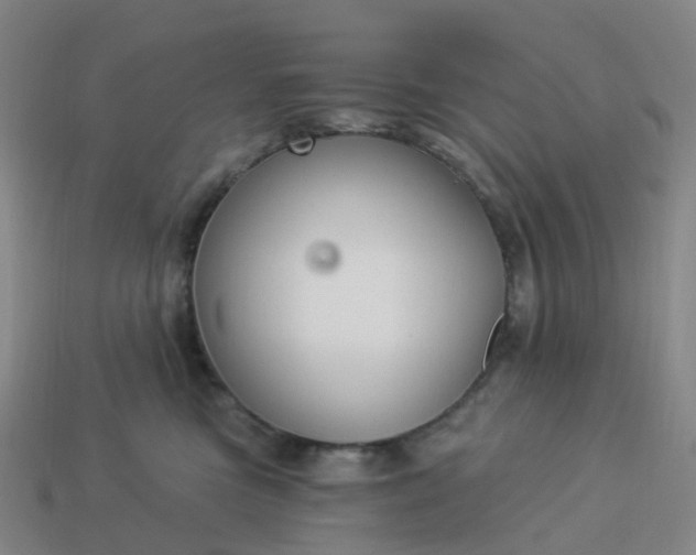 X0000114080473200910191546