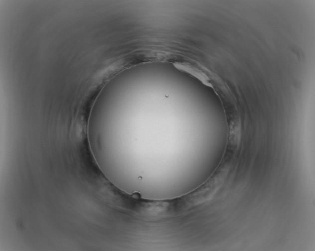 X0000114080474200910191546