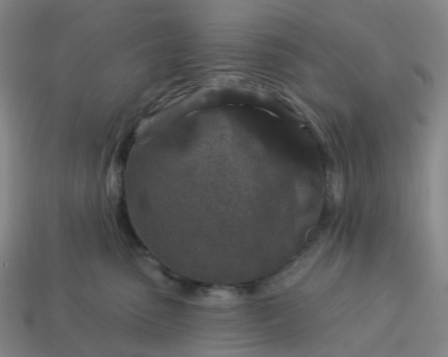 X0000114080475200910191546