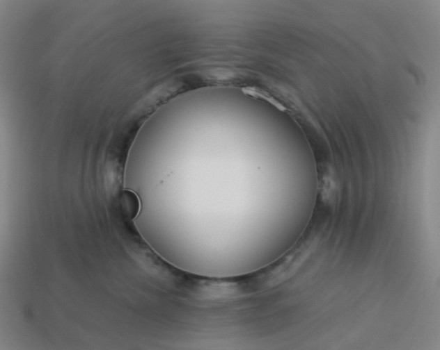 X0000114080476200910191546