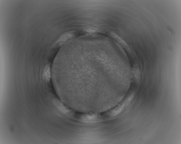 X0000114080479200910191546