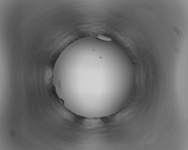 X0000114080480200910191546