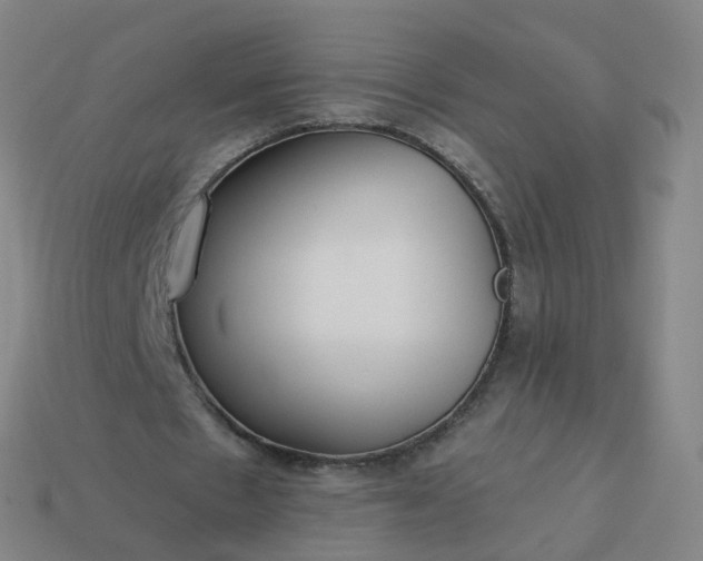 X0000114080481200910191545