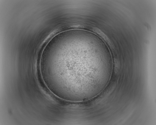 X0000114080482200910191545