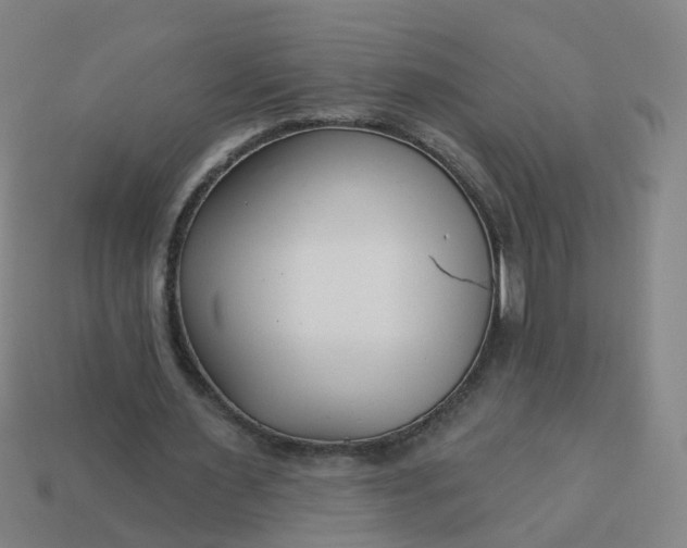 X0000114080483200910191545