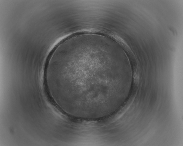 X0000114080484200910191545