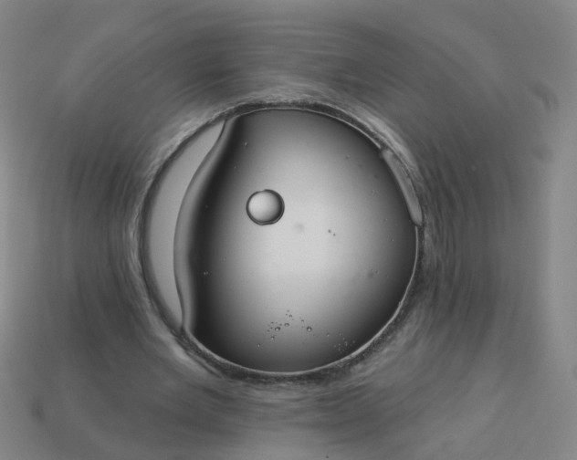 X0000114080485200910191545