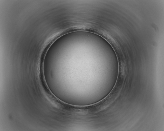 X0000114080486200910191545