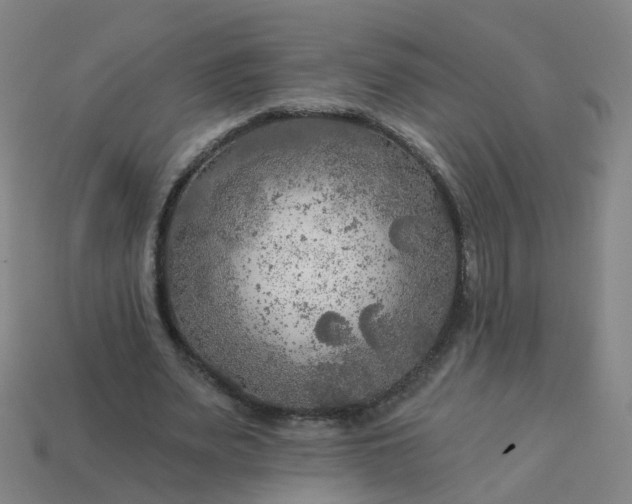 X0000114080487200910191545