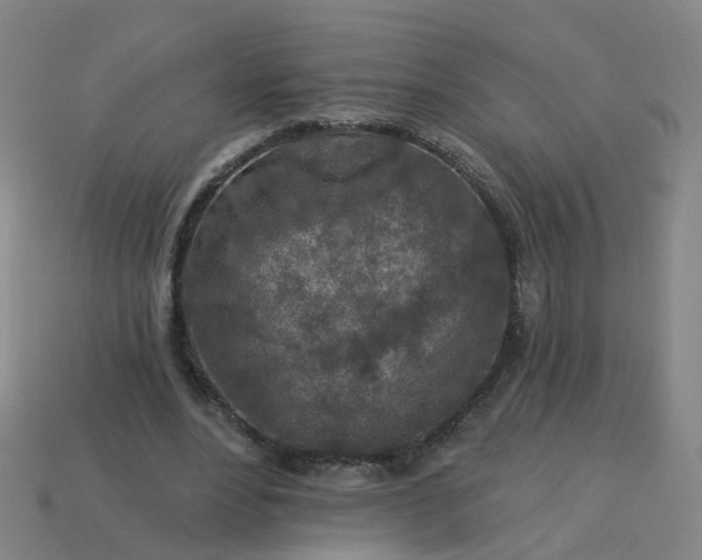 X0000114080488200910191545